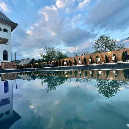 Pensiunea Maramures Guesthouse ビシェウ・デ・ジョス エクステリア 写真
