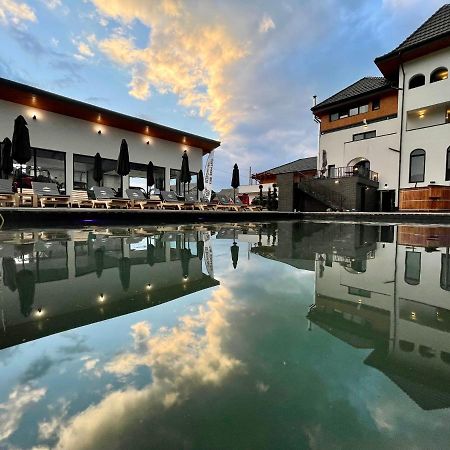 Pensiunea Maramures Guesthouse ビシェウ・デ・ジョス エクステリア 写真