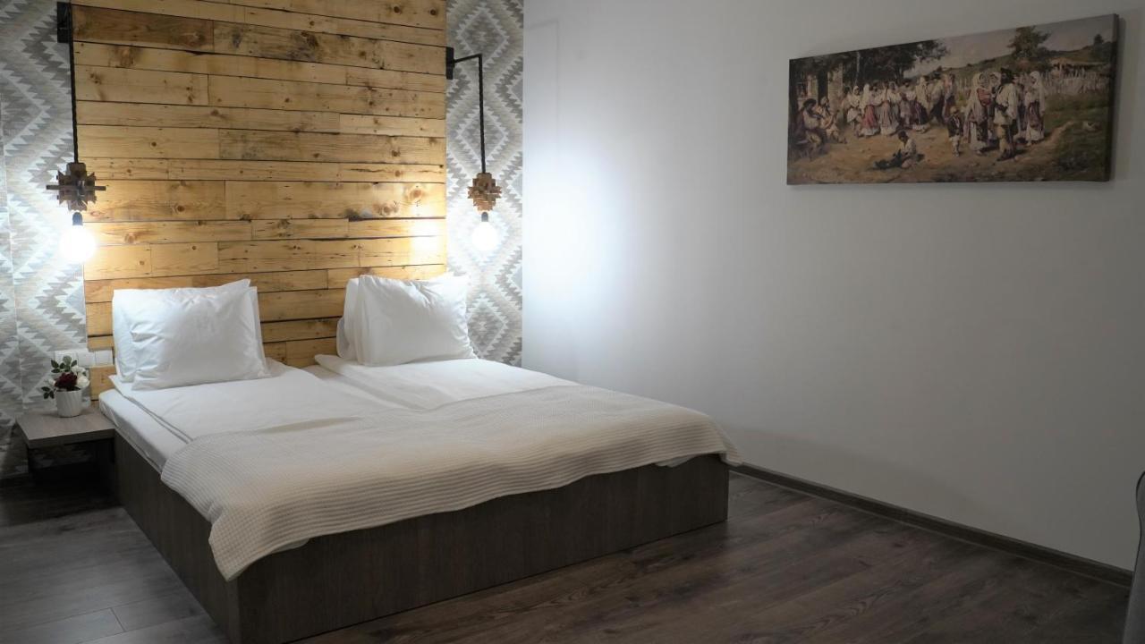 Pensiunea Maramures Guesthouse ビシェウ・デ・ジョス エクステリア 写真