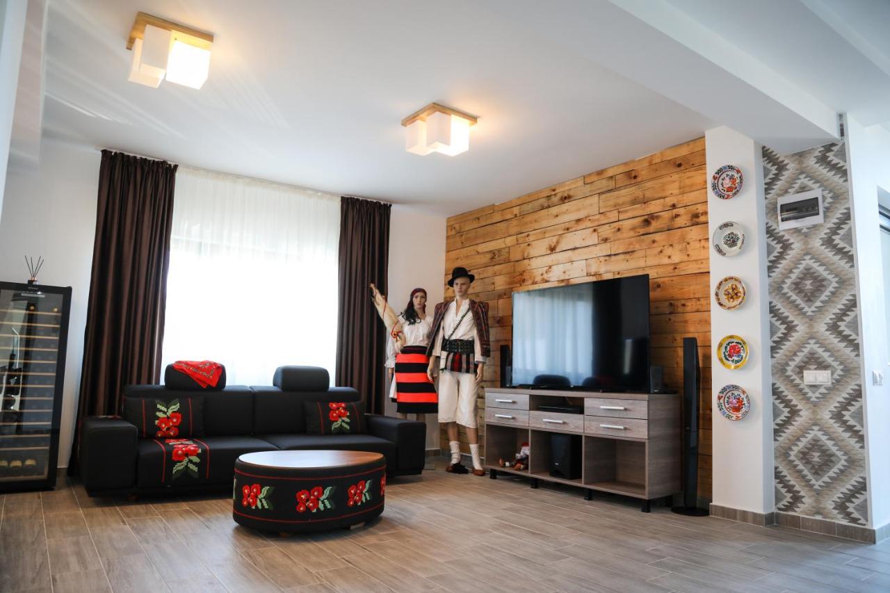 Pensiunea Maramures Guesthouse ビシェウ・デ・ジョス エクステリア 写真
