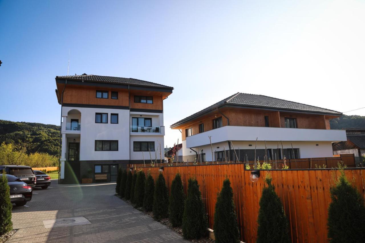Pensiunea Maramures Guesthouse ビシェウ・デ・ジョス エクステリア 写真