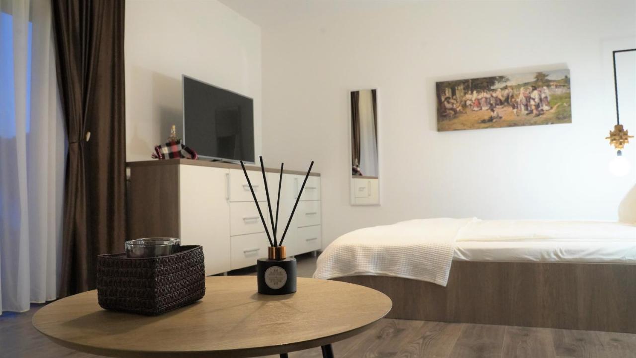 Pensiunea Maramures Guesthouse ビシェウ・デ・ジョス エクステリア 写真