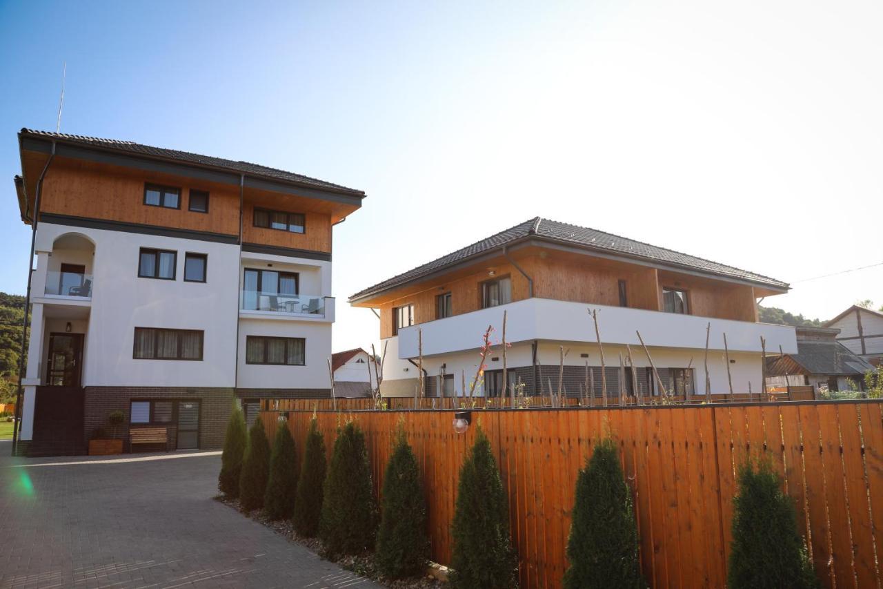 Pensiunea Maramures Guesthouse ビシェウ・デ・ジョス エクステリア 写真