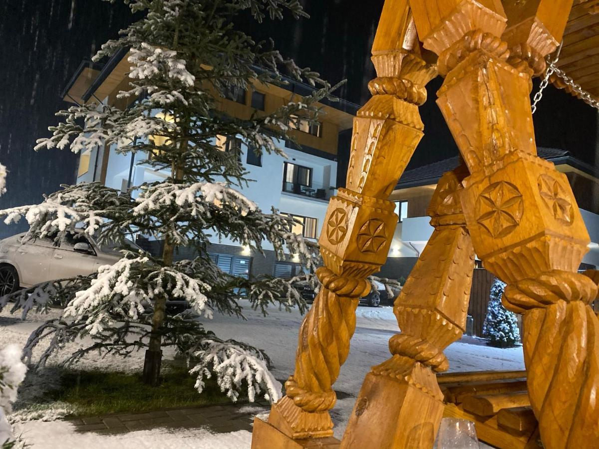 Pensiunea Maramures Guesthouse ビシェウ・デ・ジョス エクステリア 写真