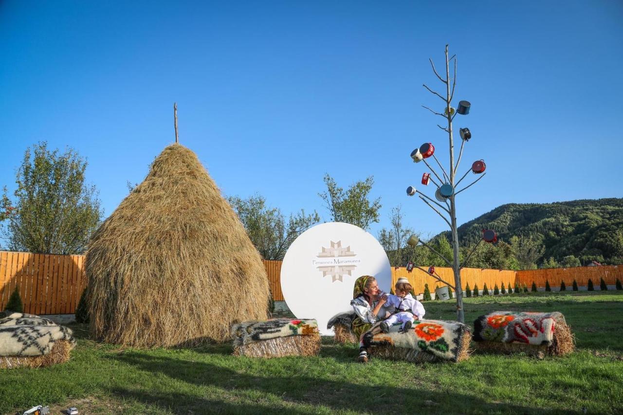 Pensiunea Maramures Guesthouse ビシェウ・デ・ジョス エクステリア 写真