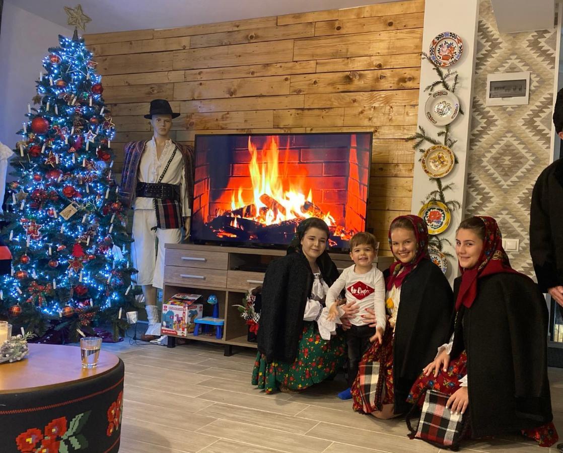 Pensiunea Maramures Guesthouse ビシェウ・デ・ジョス エクステリア 写真