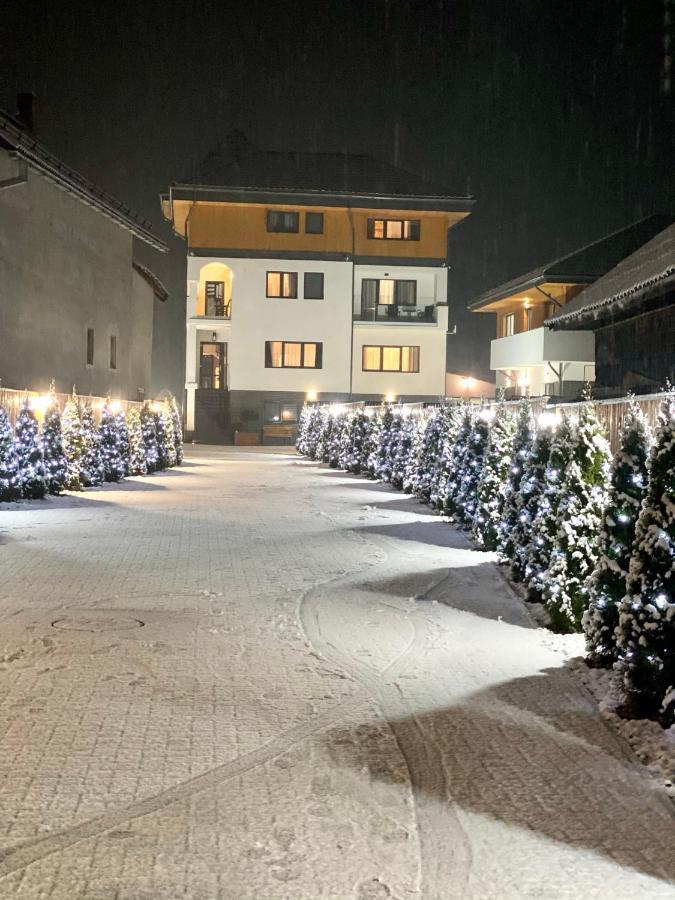Pensiunea Maramures Guesthouse ビシェウ・デ・ジョス エクステリア 写真