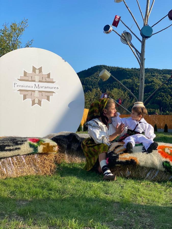 Pensiunea Maramures Guesthouse ビシェウ・デ・ジョス エクステリア 写真