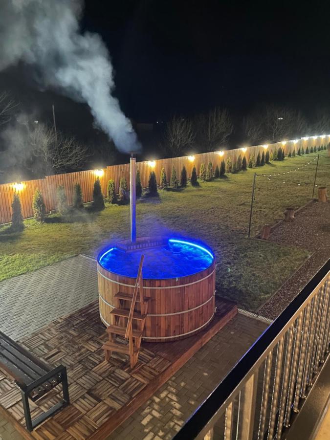 Pensiunea Maramures Guesthouse ビシェウ・デ・ジョス エクステリア 写真