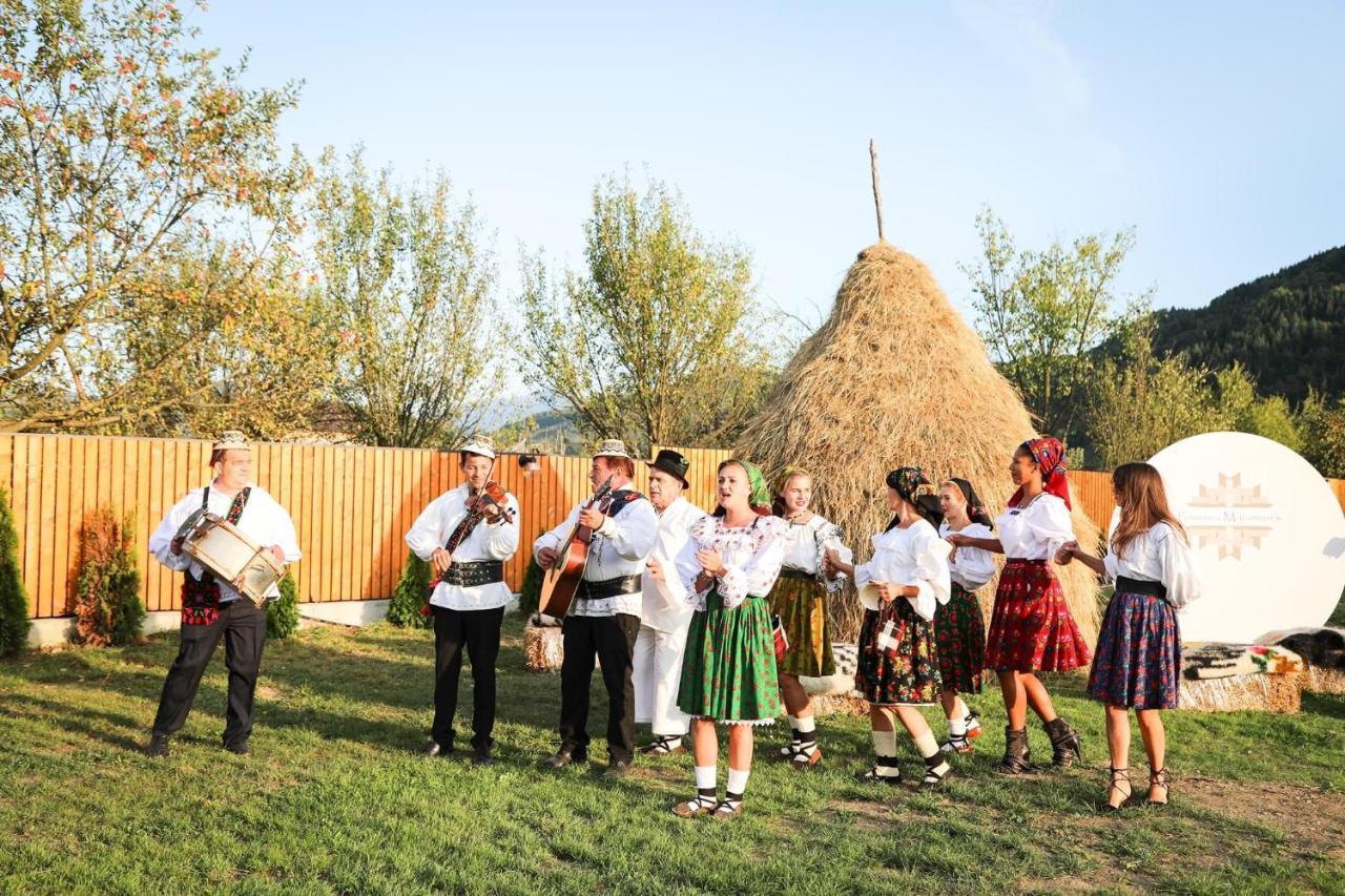 Pensiunea Maramures Guesthouse ビシェウ・デ・ジョス エクステリア 写真