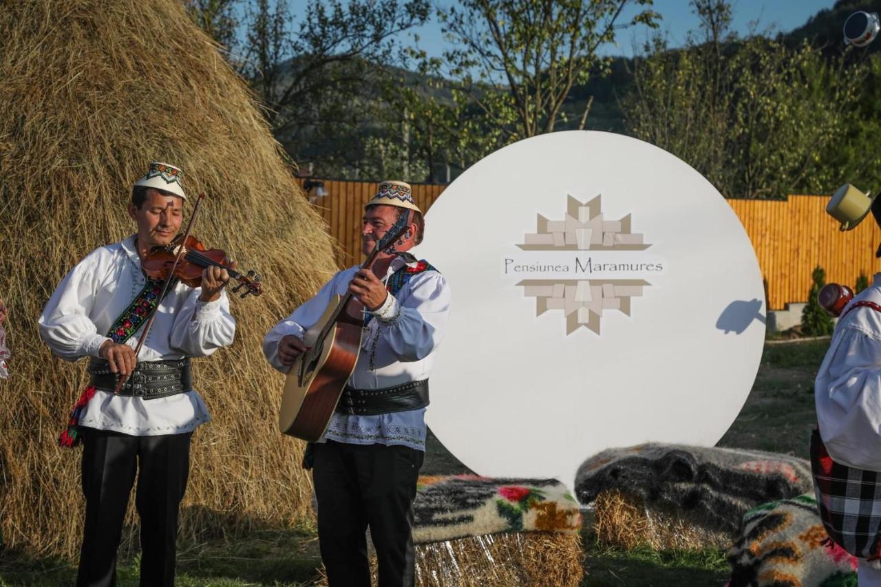 Pensiunea Maramures Guesthouse ビシェウ・デ・ジョス エクステリア 写真